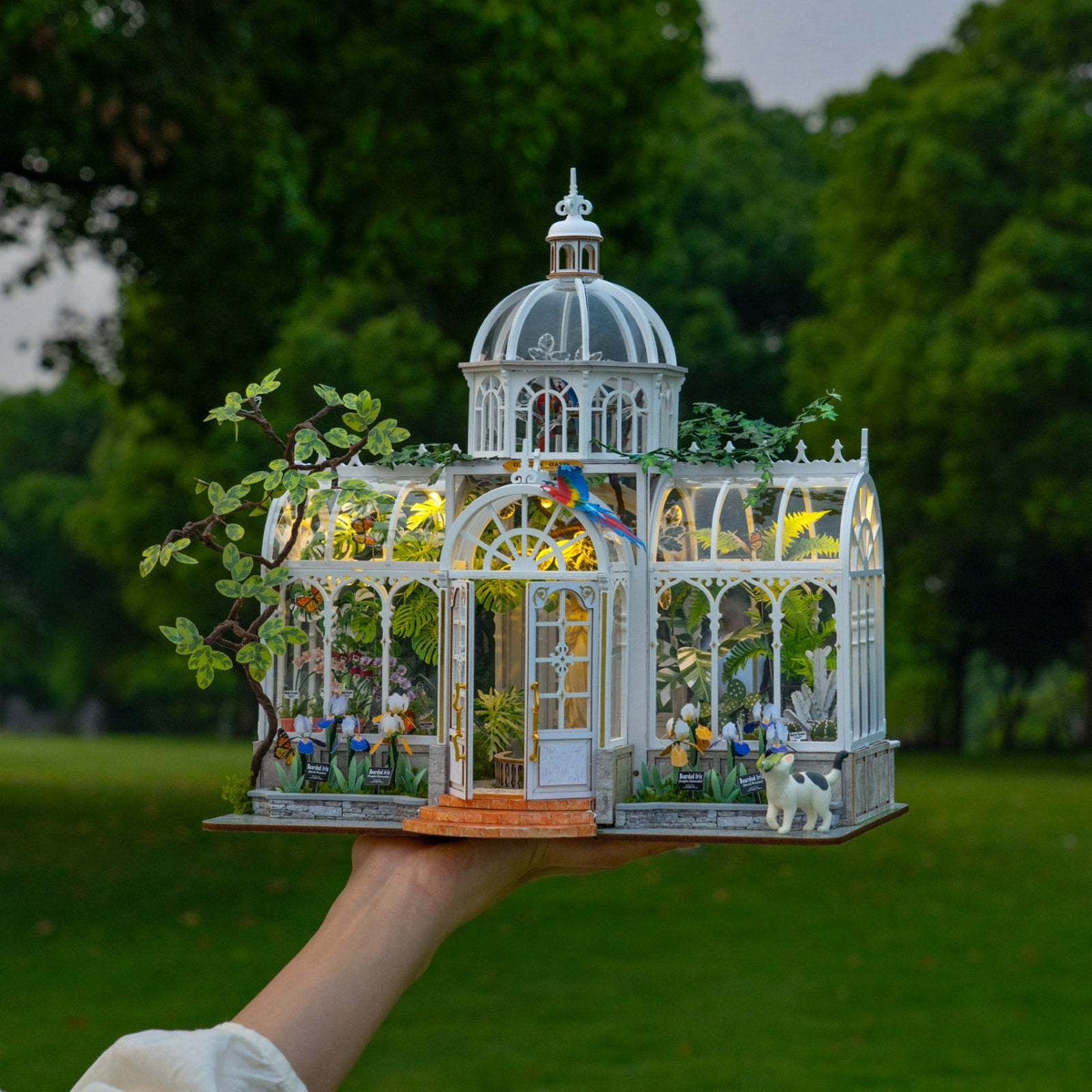 Oxygen Oasis DIY Miniature House Kit