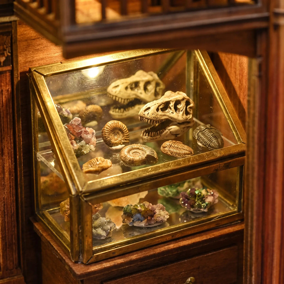 Fossil Museum DIY Book Nook Kit
